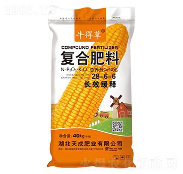 L(zhng)Чጏ(f)Ϸ28-6-6-ţò-˹