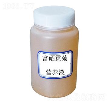 ؕՠI(yng)B(yng)Һ-S