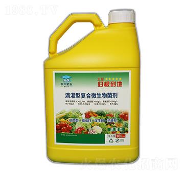 ι͏ͺ΢-w-r(nng)]ʘI(y)