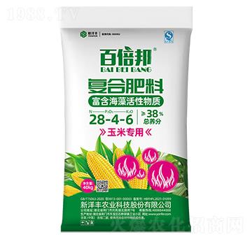 38%׌Ï(f)Ϸ28-4-6-ٱ-S