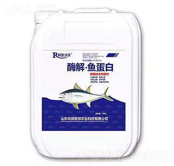 ø⡤~(y)-(rn)փ(yu)-A(rn)s