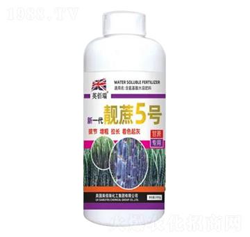 1000gһn5̖(ho)-sҫr(nng)I(y)