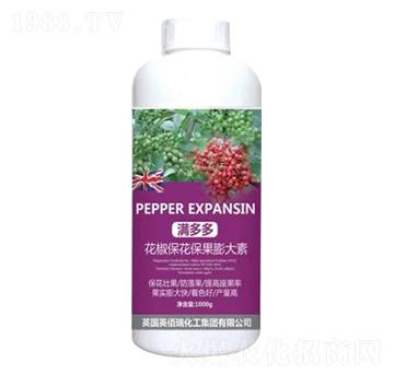 1000g-M-sҫr(nng)I(y)