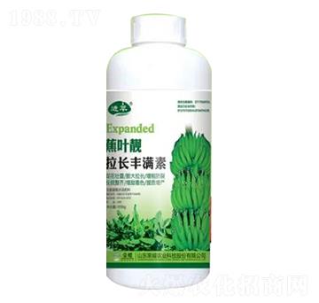 1000gLSM-~n-sҫr(nng)I(y)