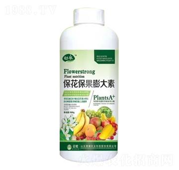 1000gƿb-sҫr(nng)I(y)