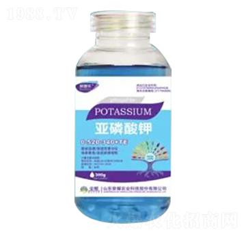 300g0-520-340+TE-sҫr(nng)I(y)