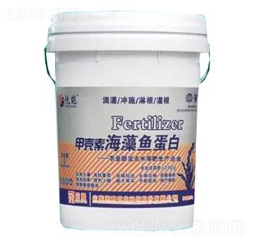 ךغ~(y)-sҫr(nng)I(y)