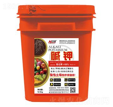 IB(yng){(dio)펟-A-r(nng)