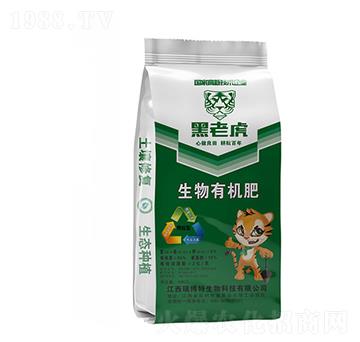 ЙC-ϻ-|r(nng)ʘI(y)