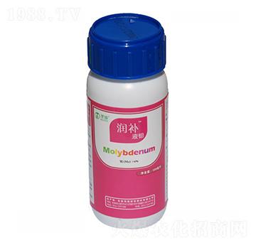 (rn)a(b)Һf-ïʩr(nng)I(y)