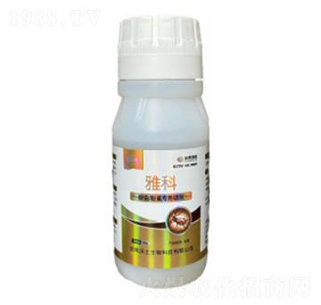 x(chng)ʭ(zhun)-ſ-ډѴTS-