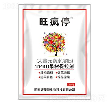 250gTPBO(sh)ٿ؄-ͣ-