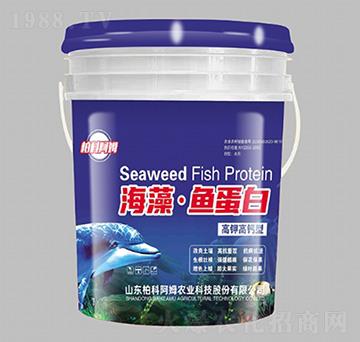 ⛸}ͺ塤~(y)-ؿưķ