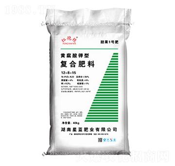 S܏ͺϷ12-8-15-tGG-{ʘI(y)