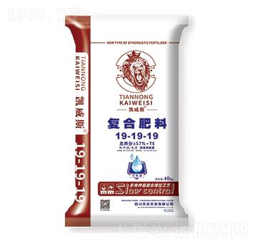 (f)Ϸ19-19-19-P˹-r(nng)r(nng)Y