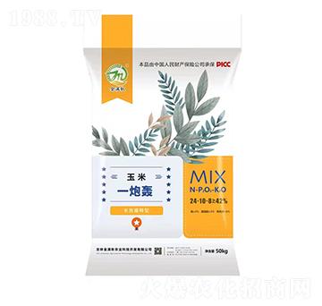 50kgLЧһZ24-10-8-M-l(xing)