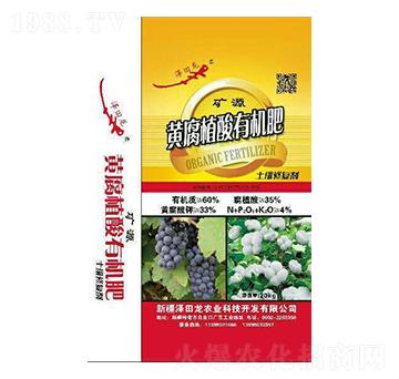 礦源黃腐植酸有機(jī)肥-澤田龍農(nóng)業(yè)