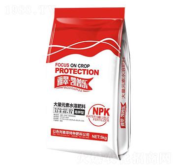 ʹԪˮܷ12-8-40+TE-P՘(l)-Ŵ