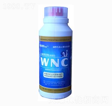 {(dio)턩-RSr(nng)I(y)