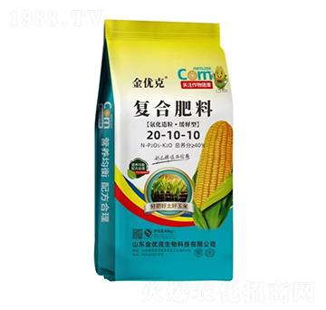 ͏(f)Ϸ20-10-10-(yu)