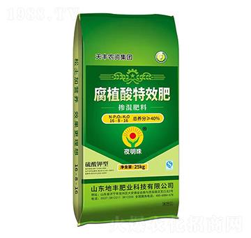 ֲᓽ16-8-16-ҹ-SʘI(y)