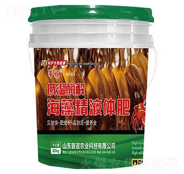 ͜ø⺣徫Һw--׵r(nng)I(y)