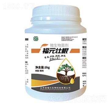 ԪѸ΢-ѸٸʸЧһw-Ԫ