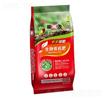 ЙC(j)-y-(yng)-G(yng)ʘI(y)