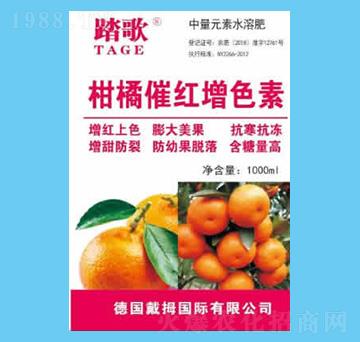 ٴ߼tɫ-̤-r(nng)I(y)