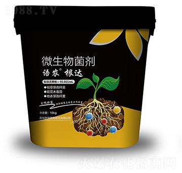 _΢-Zr(nng)-A(lin)