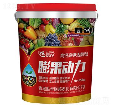 }⛻(dng)-Z(y)r(nng)-A(lin)