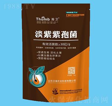 1kg߾30|-l(wi)-r(nng)I(y)