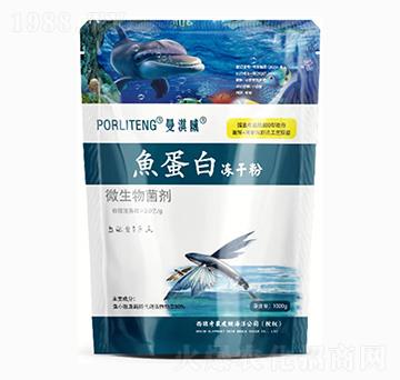 ΢-~(y)׃ɷ--˹r(nng)