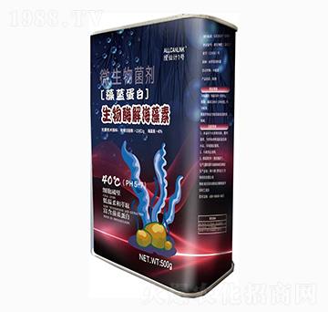 ø⺣-{(ln)-Ӌ(j)1̖-˹r(nng)