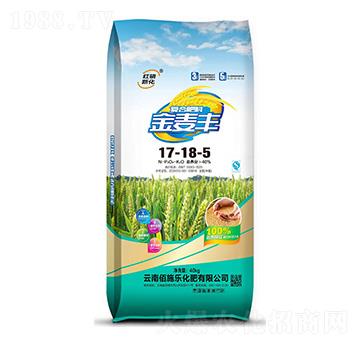 (f)Ϸ17-18-5-S-ʩ(l)