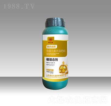 fτ-r(nng)(rn)-r(nng)