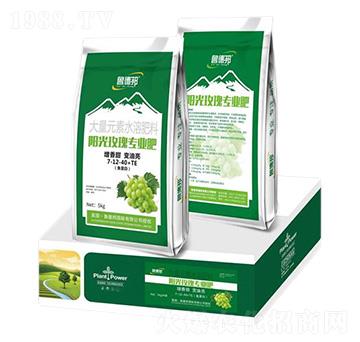 陽光玫瑰專用大量元素水溶肥肥料7-12-40+TE-魯?shù)掳? />
</div>
</div>
<style type=