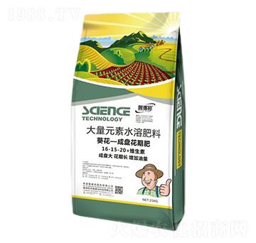 葵花·成盤花期專用大量元素水溶肥料16-15-20+維生素-魯?shù)掳? />
</div>
</div>
<style type=