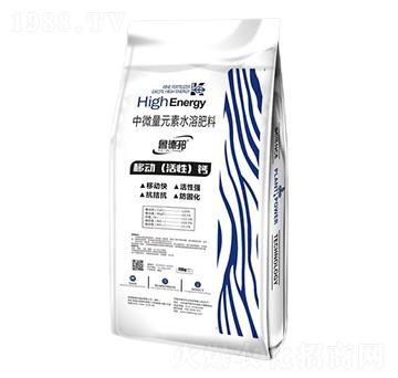 ΢Ԫˮܷ-Ƅӻ}-?sh)°? />
                                </div>
                            </div>
                            
                            <style type=