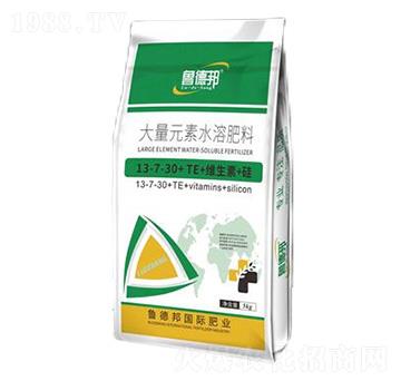 大量元素水溶肥料13-7-30+TE+維生素+硅-魯?shù)掳? />
</div>
</div>
<style type=