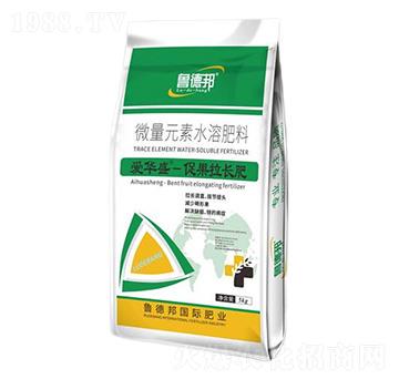 促果拉長(zhǎng)型微量元素水溶肥料-愛華盛-魯?shù)掳? />
</div>
</div>
<style type=