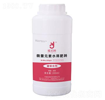 fτ-ֲȴ-A(qing)F(tun)