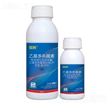 60��/���һ��������ؑҸ�����SC��-�Ѵ�-�л�����ƌW(xu��)