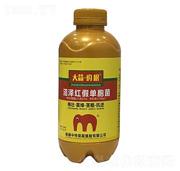 �ӝɼt�نΰ���-���⡤����-����ú