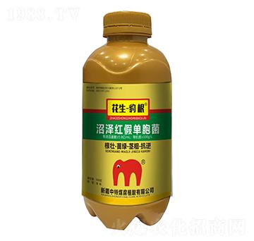 �ӝɼt�نΰ���-����������-����ú