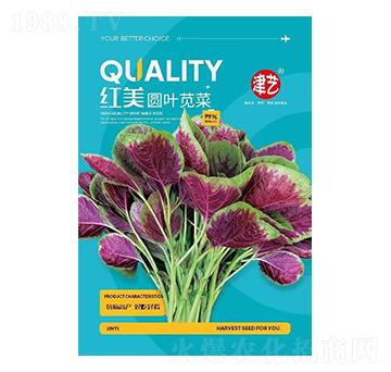 {˷N-tA~{-Sr(nng)I(y)