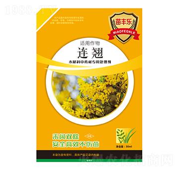 BNľϬˎČ̎턩-S-瘷r(nng)I(y)