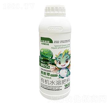 ЙCˮܷ-˹͡پGL-]˹