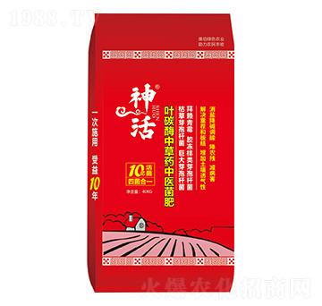 ~̼øвˎt(y)--Ar(nng)I(y)