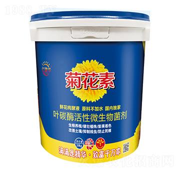 ~̼ø΢-ջ-|A-Ar(nng)I(y)